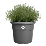 algarve cilindro 25cm anthracite